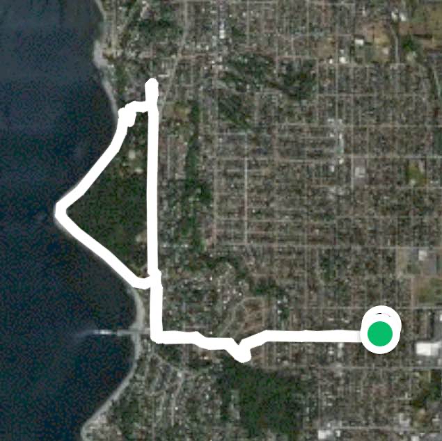 Henderson/Lincoln Park loop