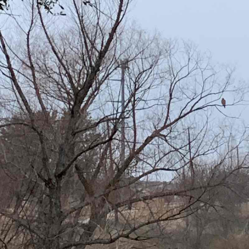 Timbers Nature Preserve-infinite loops