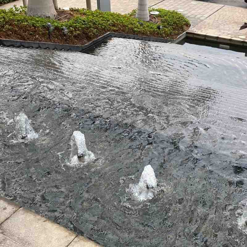 Morning walk - Jeddah morning