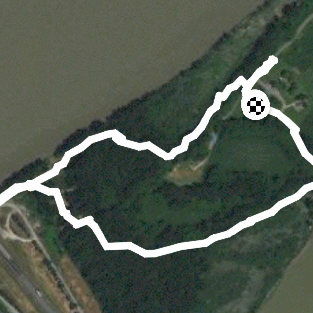 Deas island little loop