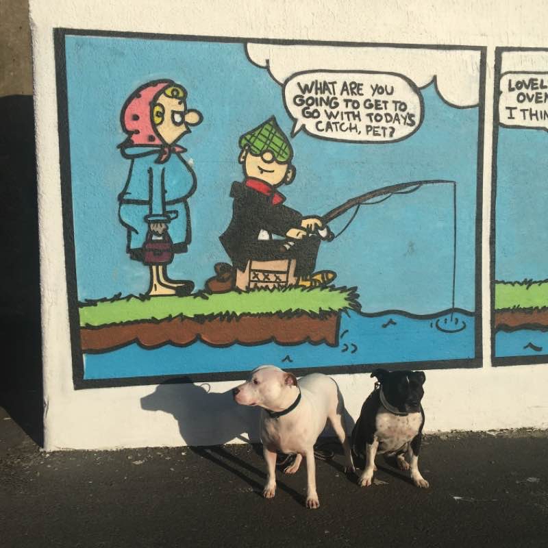 Historic Hartlepool headland