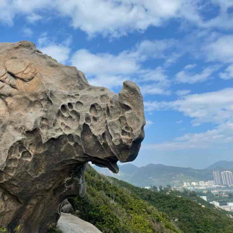 蹤行犀牛石🦏舂坎角