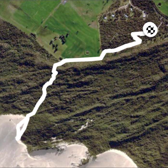 Big rift wilsons prom