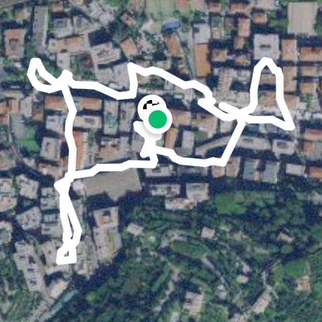 Passeggiata Gioia 🐕‍🦺