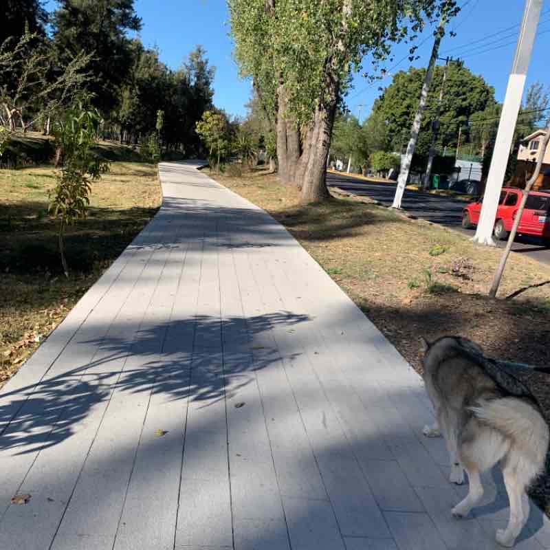 Lunes de caminata con Roky