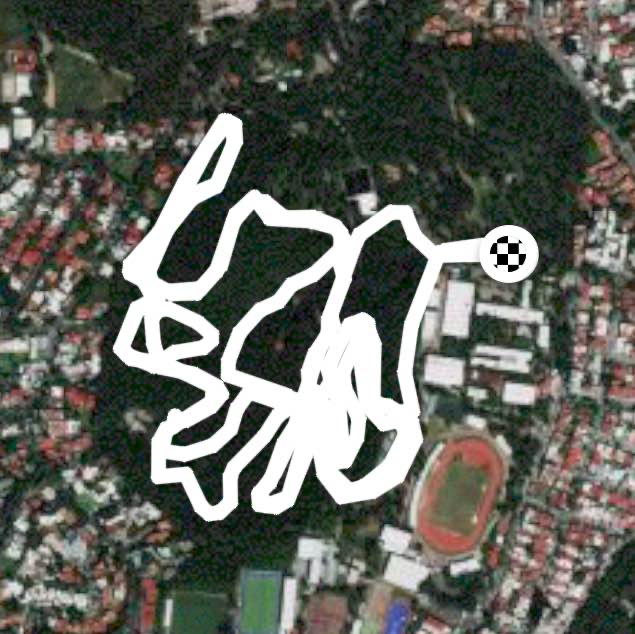 Caminata mañanera Martes 18 de Enero 2022