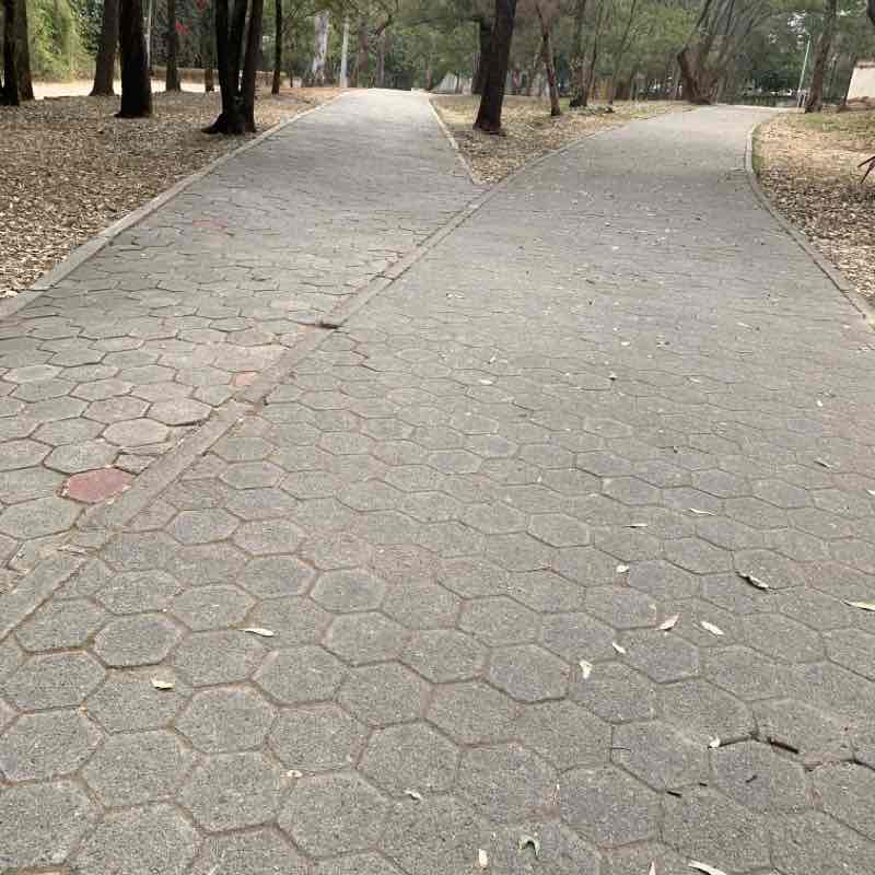 Lunes 24 de enero iniciando con toda la actitud!!!