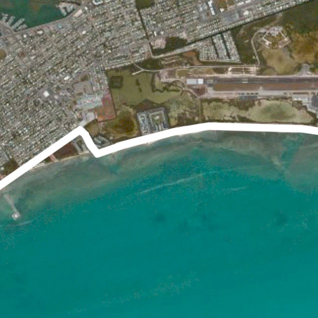 Pole vault in Paradise