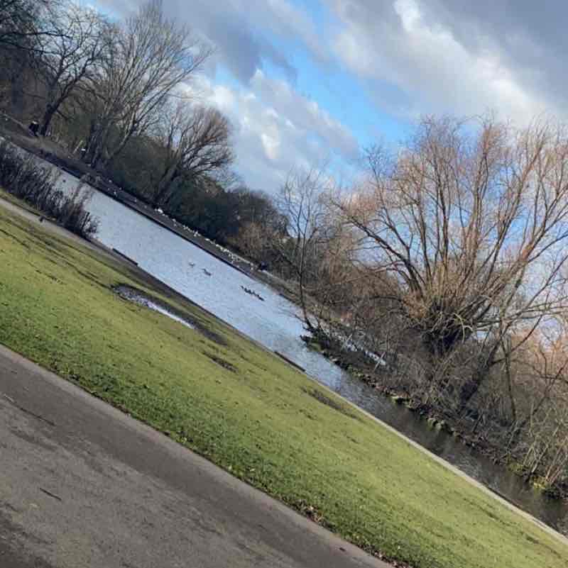 Sandall park