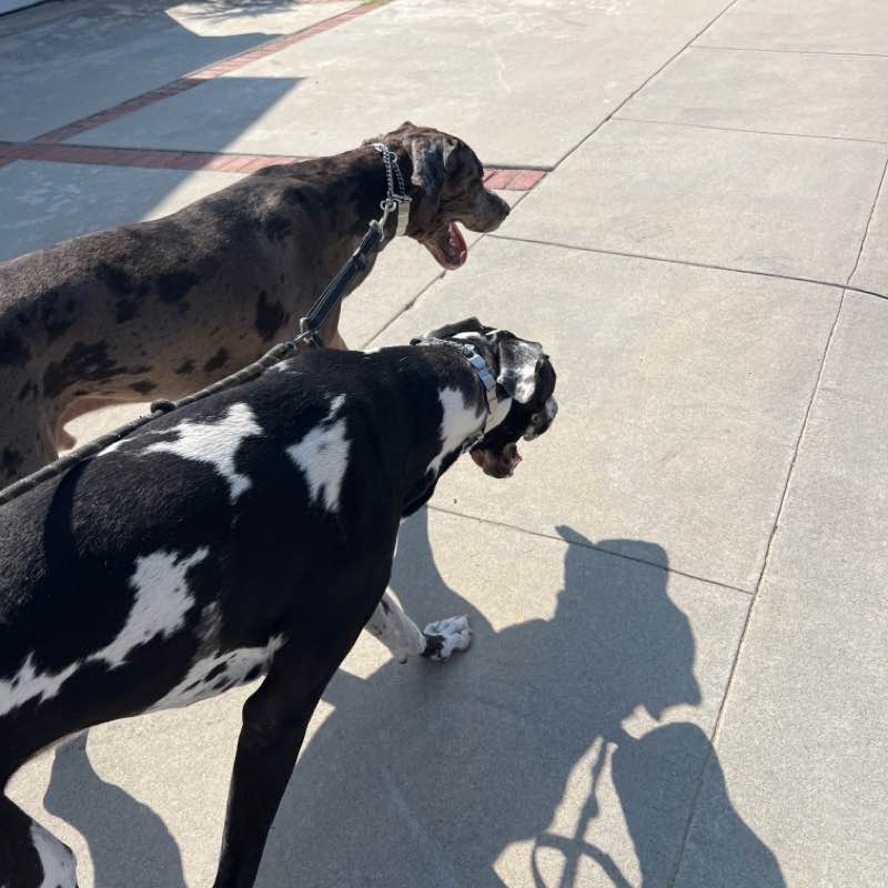 Denver and Boulder Thu Oct 6