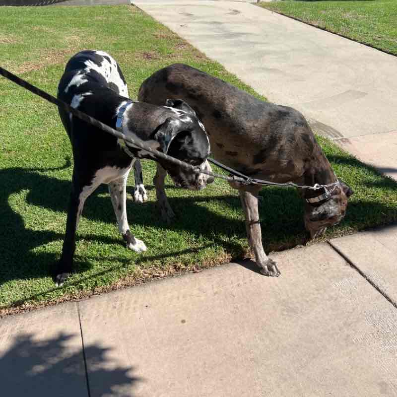 Denver and Boulder Tue Oct 18