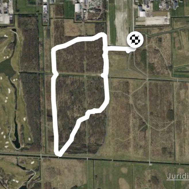 Bentwoud met Balou Bowie en michelle