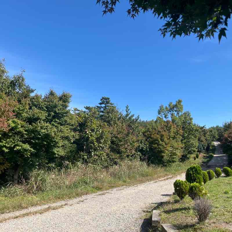 화동못-매봉재 가는 길