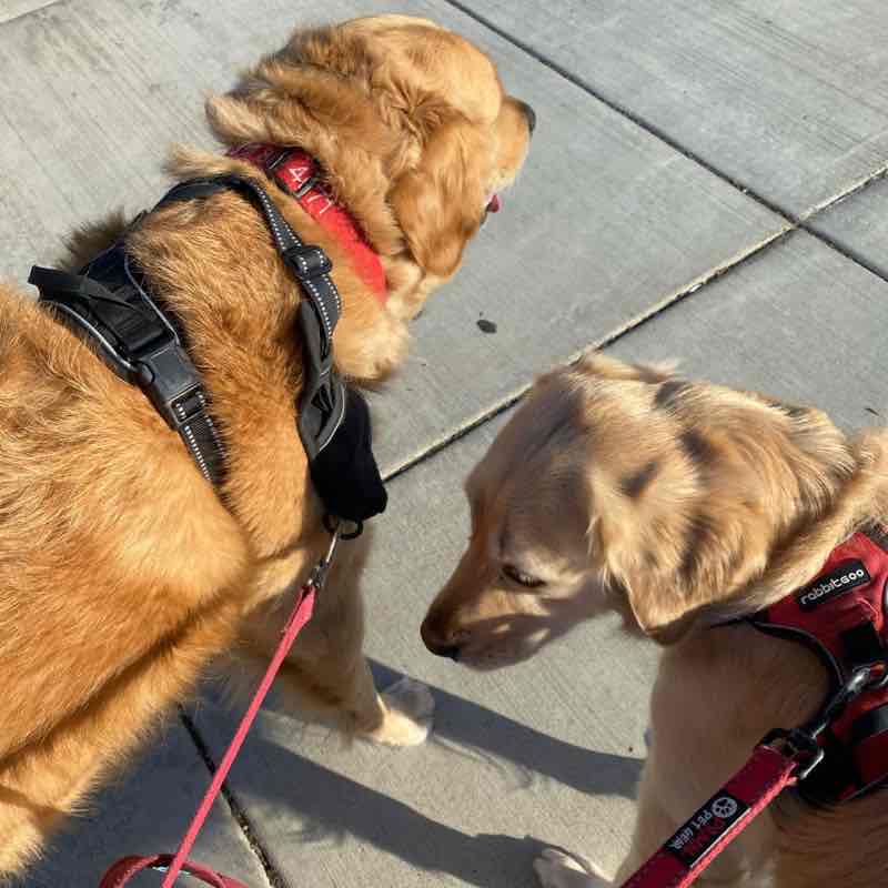 Nemo and Dory Thu PM Oct 27