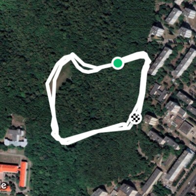 Уфимские липы