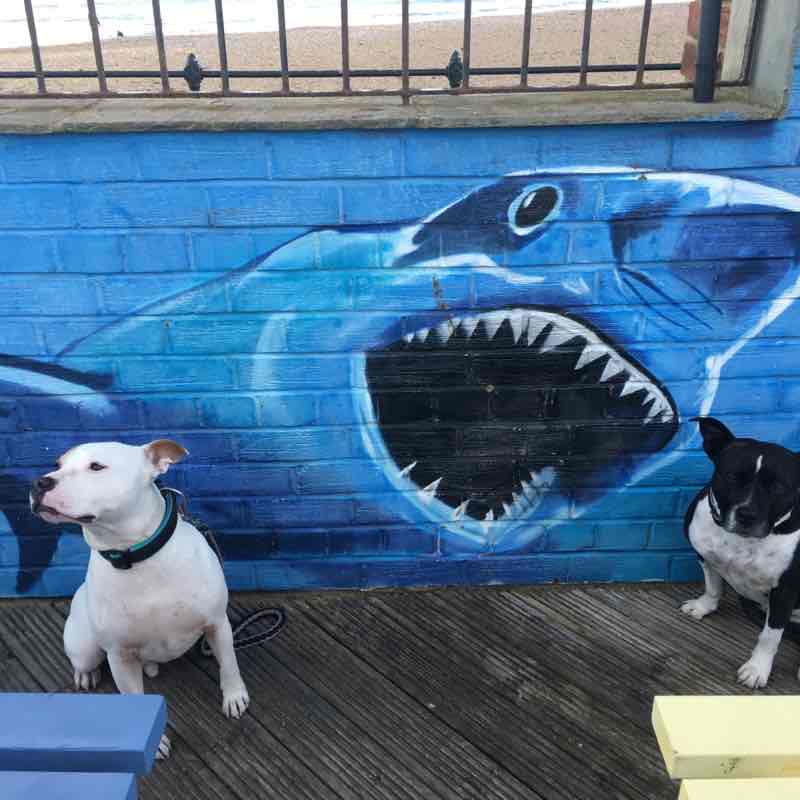 Sunderland sea front