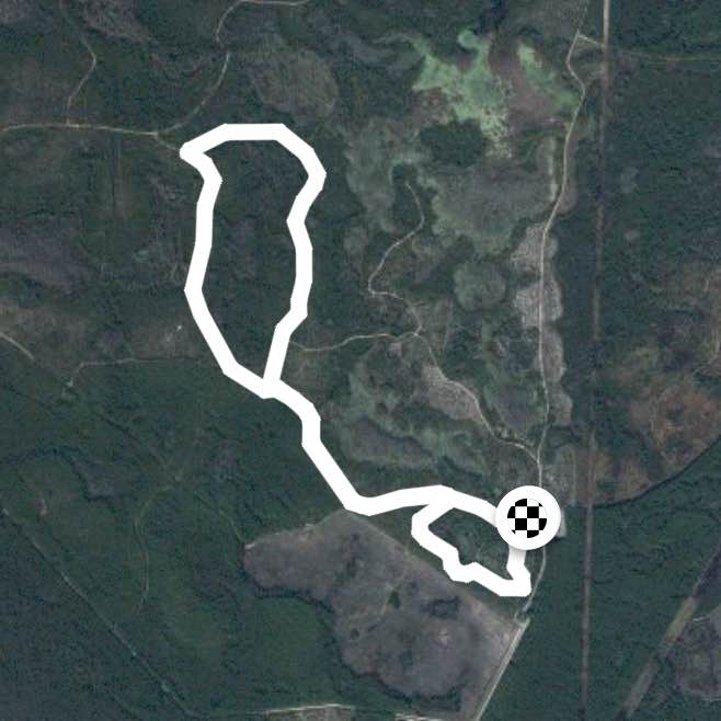 Cons. Park, Dragonfly loop to Buck Pond