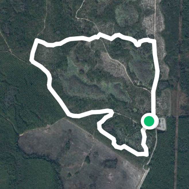 Conservation park. Whitetail to Palmetto to Buxley