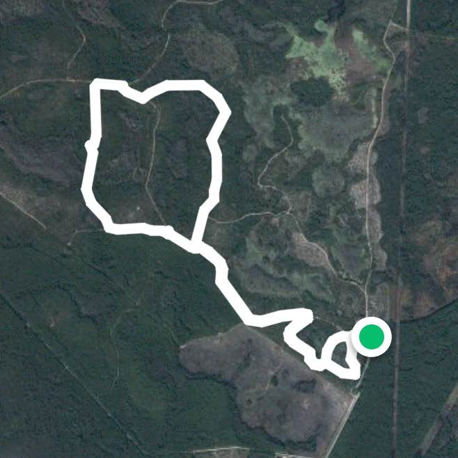 Whitetail to Cypress