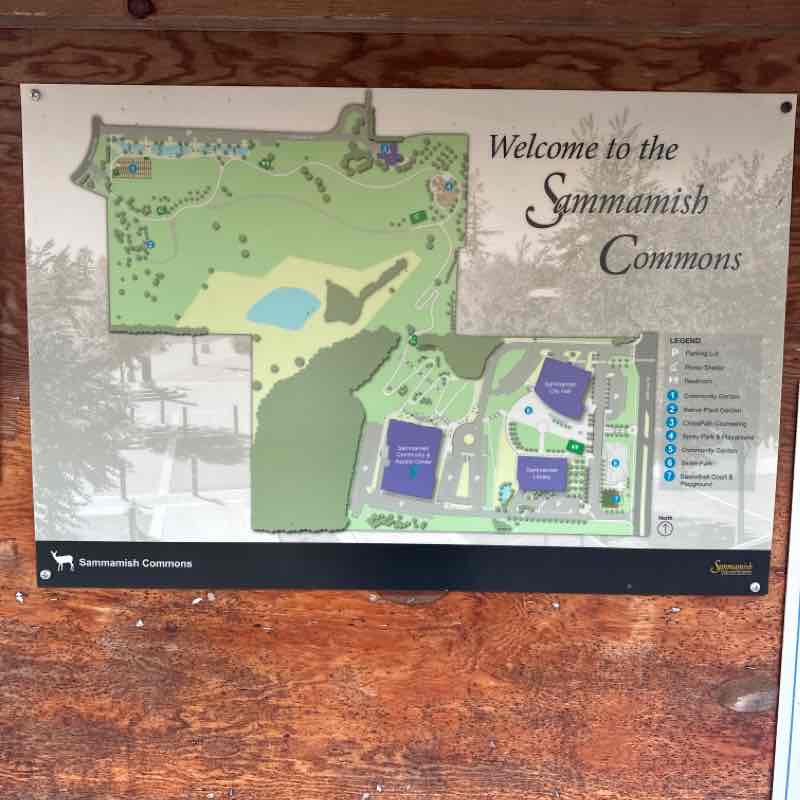 Sammamish commons