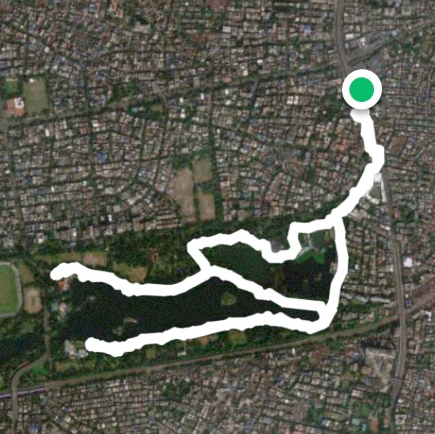 Thursday Morning Walk