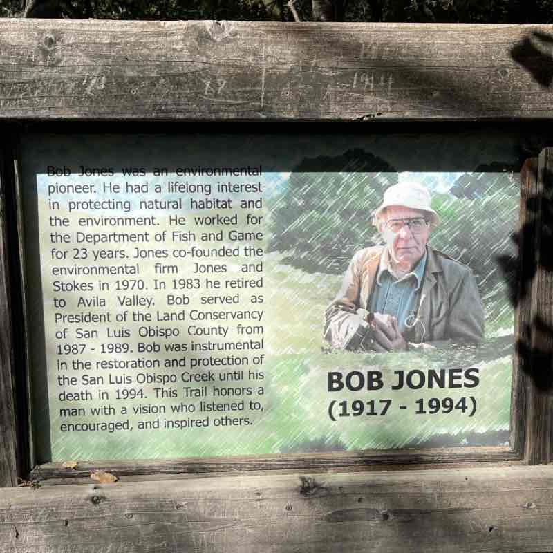 Bob Jones trail