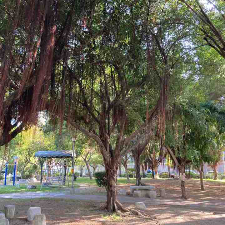 公園健行加跑步