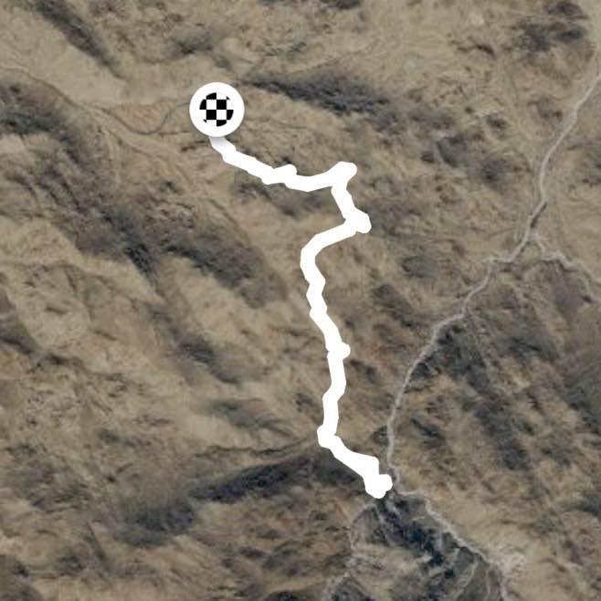 Fortynine Palms Oasis Trail