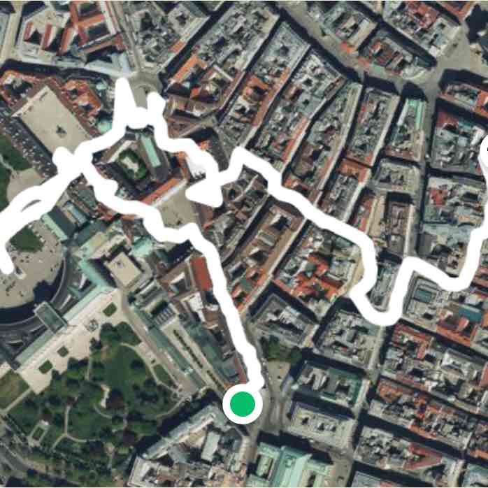 Visita a Vienna