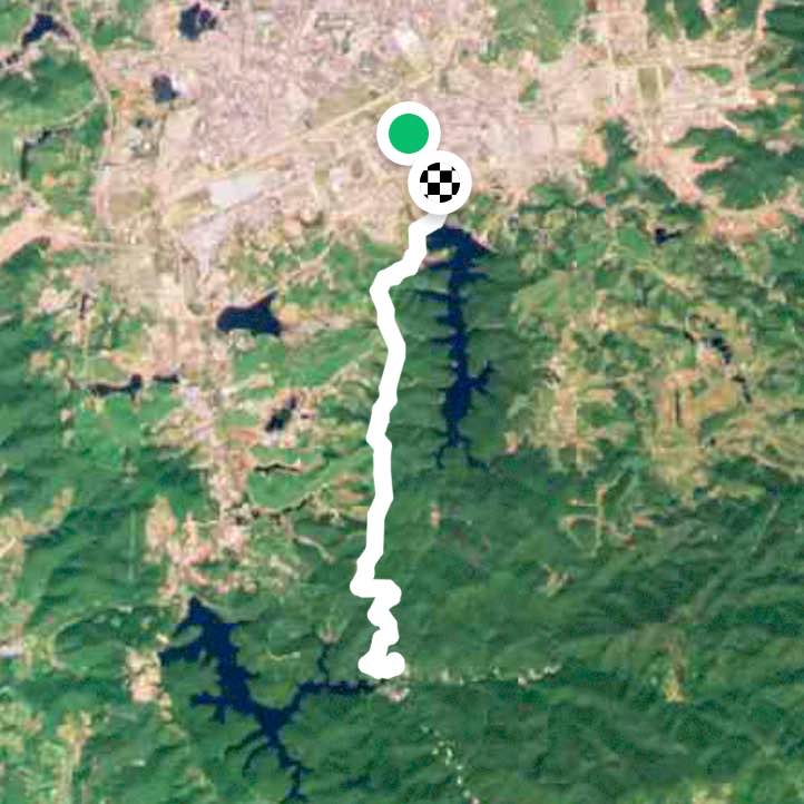 80号
