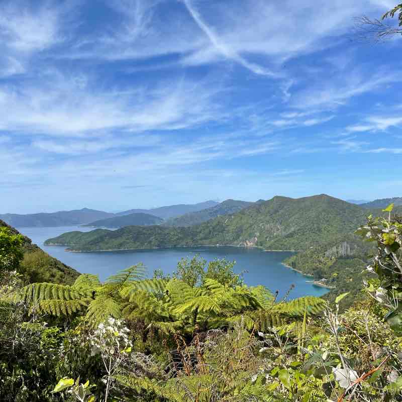 Queen Charlotte Track (17 km)