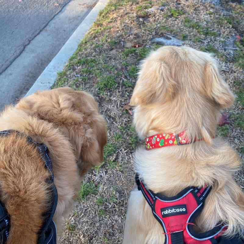 Nemo and Dory PM Fri Dec 23