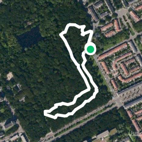 Park Den Haag met Balou en Bowie