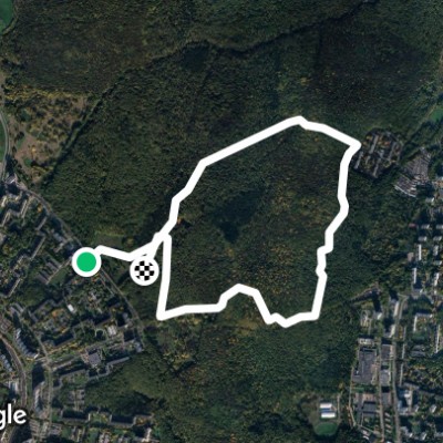 Битцевский лес