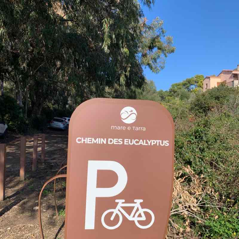 Eucalyptus, la Parata, Capo chemin des douaniers