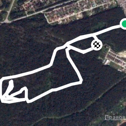 На лыжах в лесу