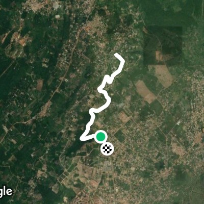 Logoligi fitness route