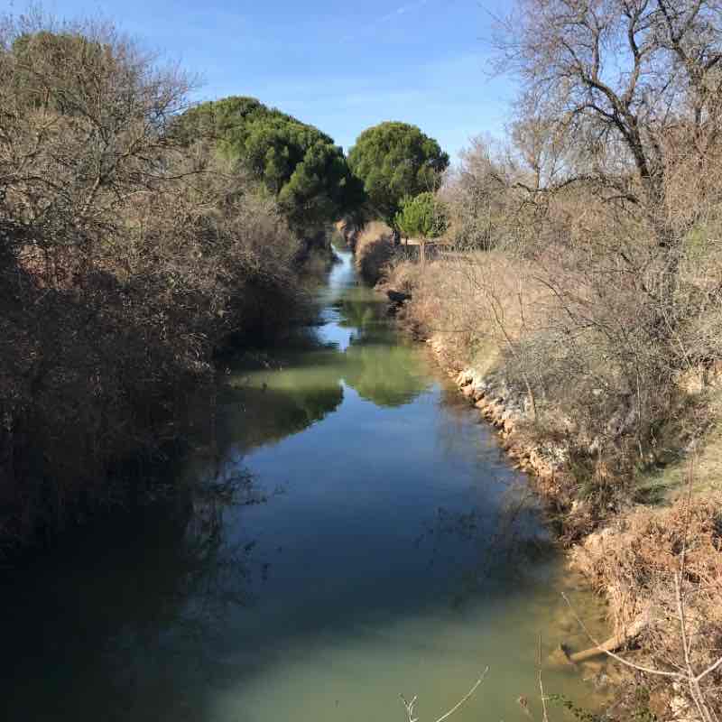 Canal del Duero