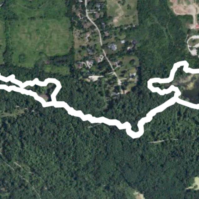 Maybury Hiking Trails