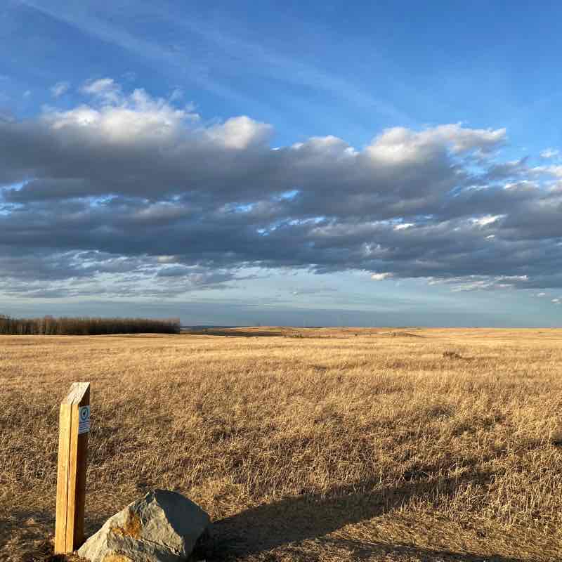 Sunday Evening on Nose Hill