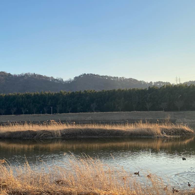 태화강은하수길
