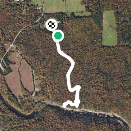 Kayak races