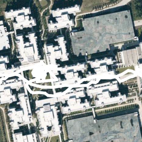 Campus short workout