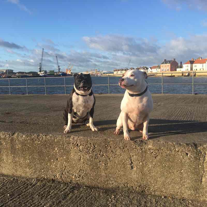 Walk along Seaton prom