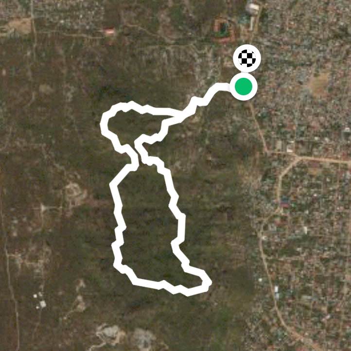 Morning hiking