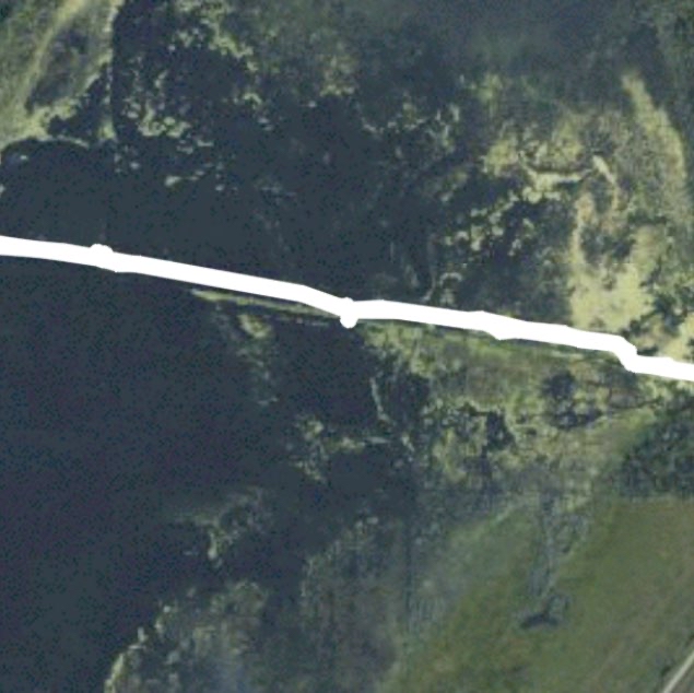 Arcadia Marsh Boardwalk