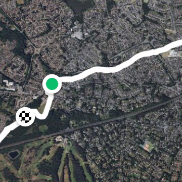 Basingstoke Canal Woking