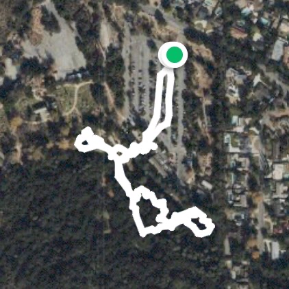 Descanso Gardens. Lilacs blooming.