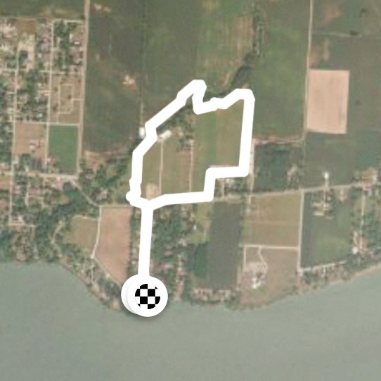 Crew winery walking around the vineyard