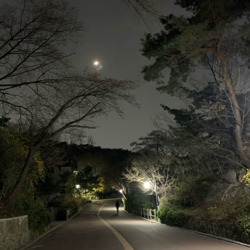 남산공원길 산책